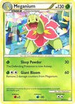 Meganium (Cracked Ice Holo) (26) [Miscellaneous Cards & Products]